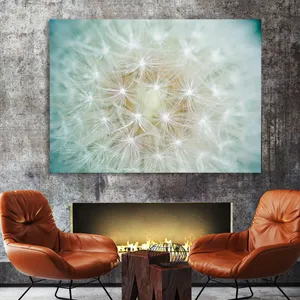 Starboy Gallery Amazing 604 Tableau