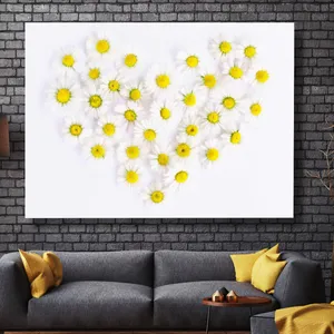 Starboy Gallery Amazing 605 Tableau
