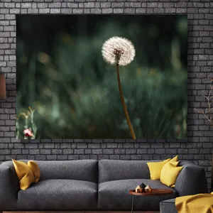 Starboy Gallery Amazing 613 Tableau