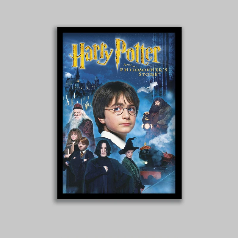 تابلو مدل هری پاتر Harry Potter کد LA-G10587-2