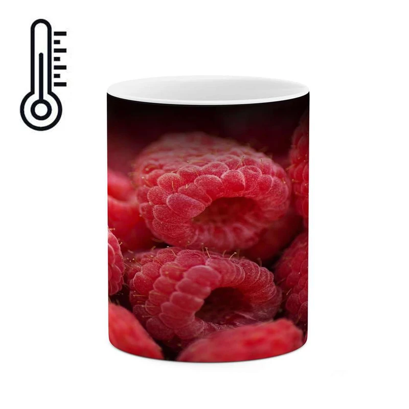 ماگ حرارتی کاکتی مدل تمشک کد mgh16807