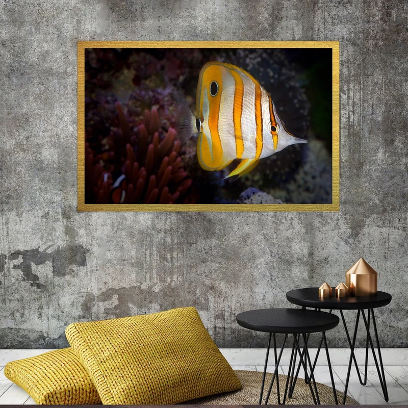 تابلو بکلیت طرح آبزیان و ماهی مدل قاب شاسی T-S7668