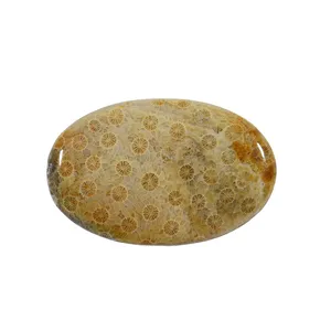 سنگ فسیل مرجان کد TG6521