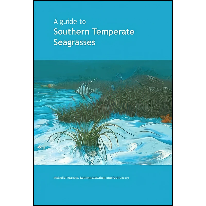 کتاب A Guide to Southern Temperate Seagrasses اثر جمعي از نويسندگان انتشارات CSIRO Publishing