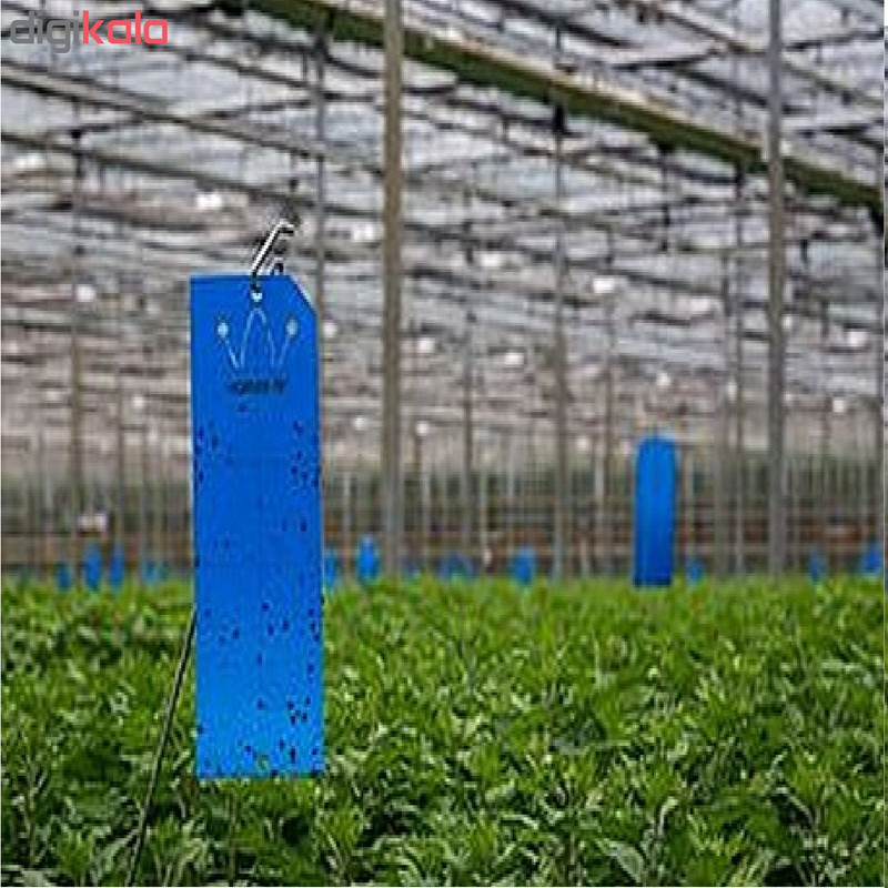 کارت جذب کننده حشرات مدل A01 بسته 20 عددی