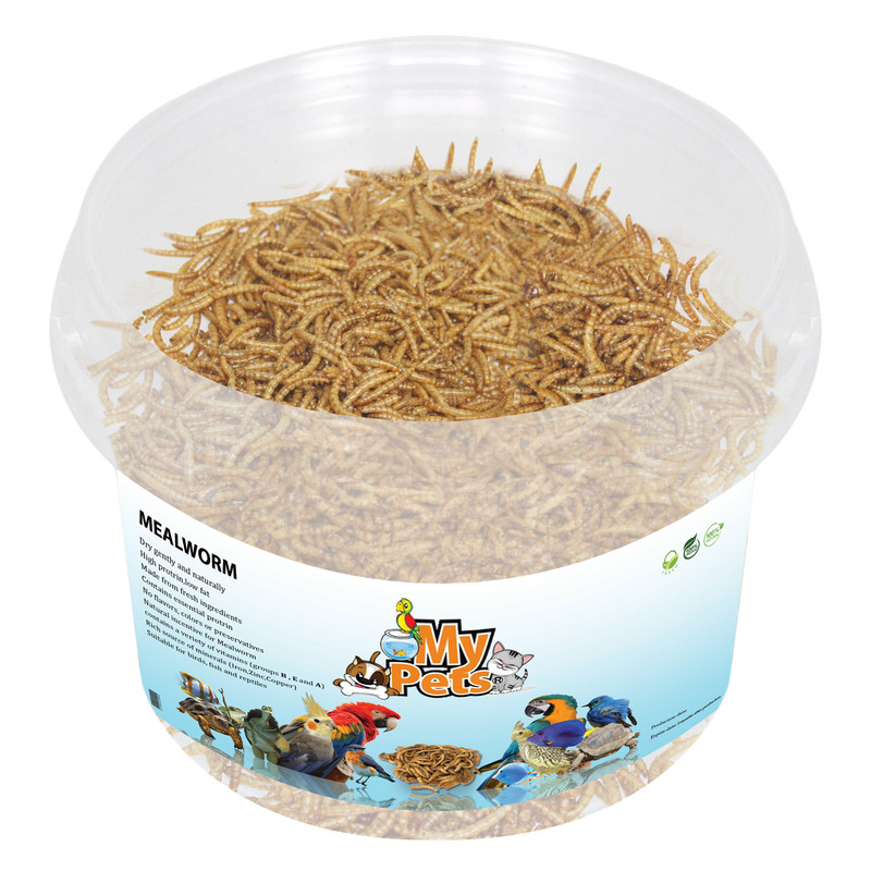 غذای تشویقی پرندگان مای پتز مدل Mealworm وزن 40 گرم