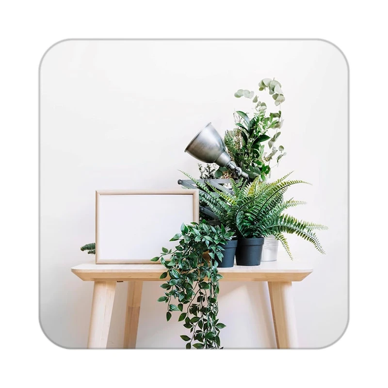 زیر لیوانی کاکتی طرح گل مدل mp18884