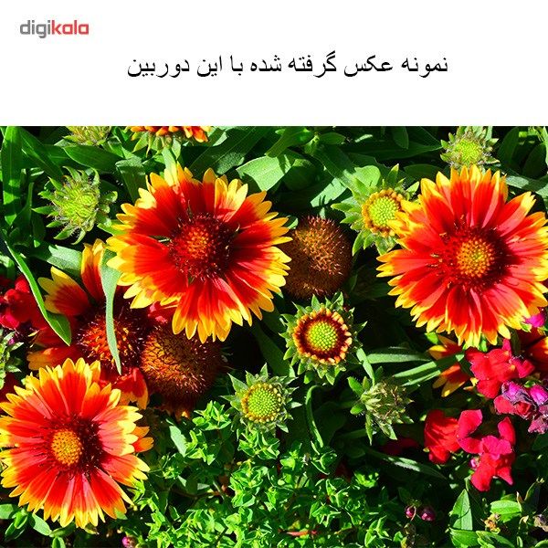 دوربین دیجیتال نیکون مدل D3300 به همراه لنز 18-55 میلی متر VR AFP main 1 9