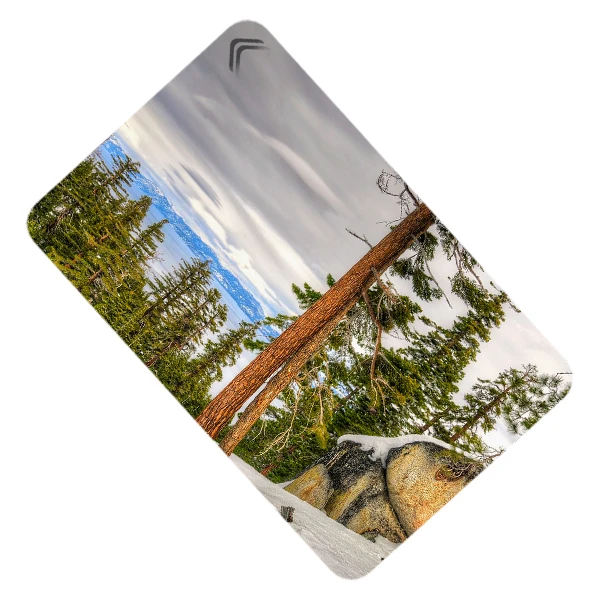 استیکر کارت طرح طبیعت مدل CAC344-K-G1-141