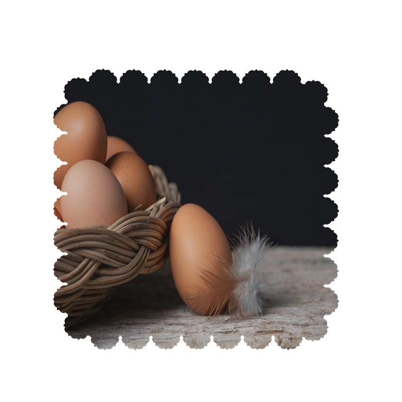 رومیزی طرح تخم مرغ کد 8334B