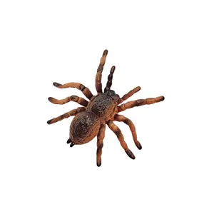 فیگور ناب سل مدل رتیل زانو قرمز مکزیکی MEXICAN REDKNEE TARANTULA ارتفاع 1 سانتی متر