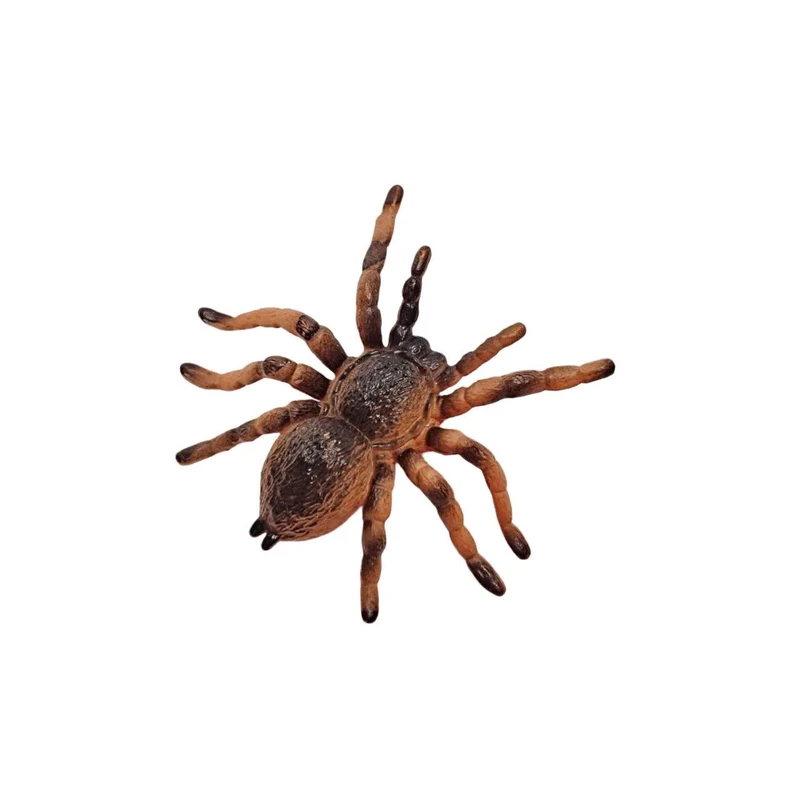 فیگور ناب سل مدل رتیل زانو قرمز مکزیکی MEXICAN REDKNEE TARANTULA ارتفاع 1 سانتی متر