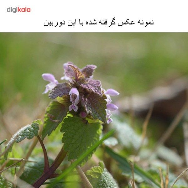 دوربین دیجیتال نیکون مدل D3300 به همراه لنز 18-55 میلی متر VR AFP main 1 15