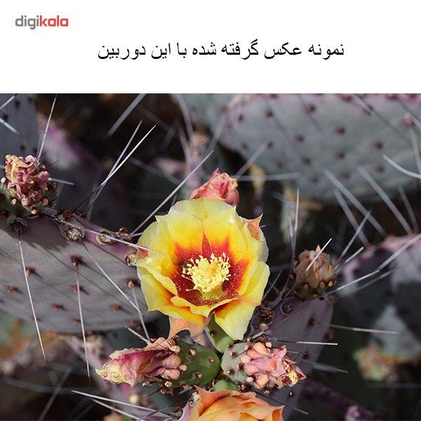 دوربین دیجیتال نیکون مدل D3300 به همراه لنز 18-55 میلی متر VR AFP main 1 16
