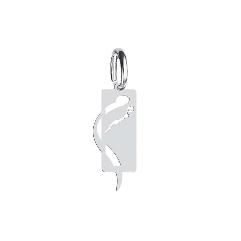 آویز گردنبند نقره هایکا طرح همسرم مدل n.ha 717