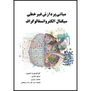کتاب مبانی پردازش‌ غیرخطی سیگنال الکتروانسفالوگراف اثر جمعی از نویسندگان انتشارات ارسطو