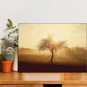 Starboy Gallery Amazing 294 Nature Tableau