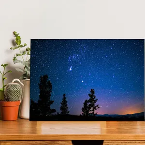 Starboy Gallery Amazing 305 Sky Tableau