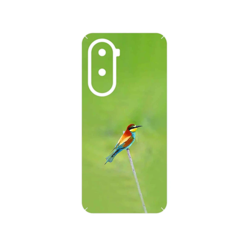 برچسب پوششی ماهوت مدل European bee-eater مناسب برای گوشی موبایل شیائومی Poco M7 4G