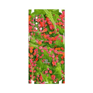 MAHOOT Atom Universe 3-FullSkin Cover Sticker for Realme GT Master