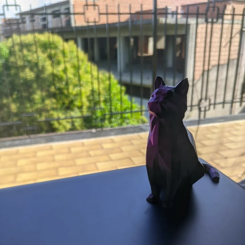 فیگور مدل گربه