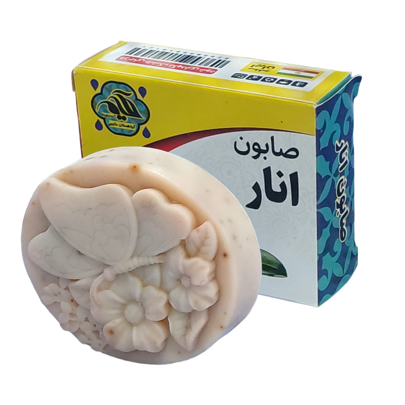صابون شستشو گیاهستان حکیم مدل انار وزن 70 گرم بسته 2 عددی صابون شستشو گیاهستان حکیم مدل انار وزن 70 گرم بسته 2 عددی