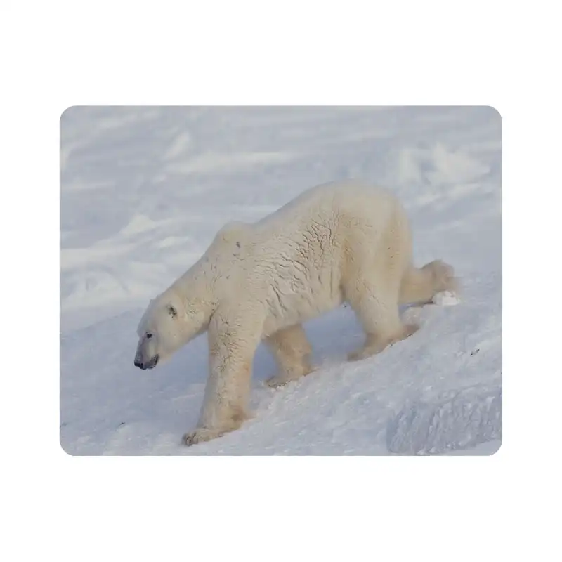 ماوس پد اطلس آبی طرح برف و خرس قطبی  مدل T2074