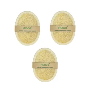 اسکاچ گیاهی لوفا مدل BYZ01 بسته 3 عددی