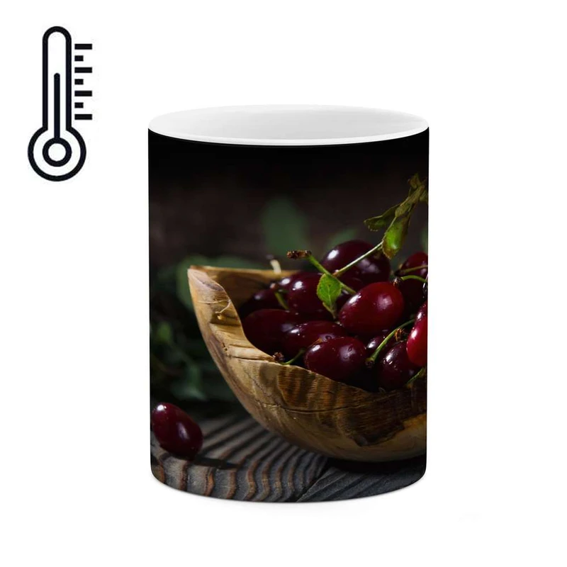 ماگ حرارتی کاکتی مدل میوه کد mgh14794