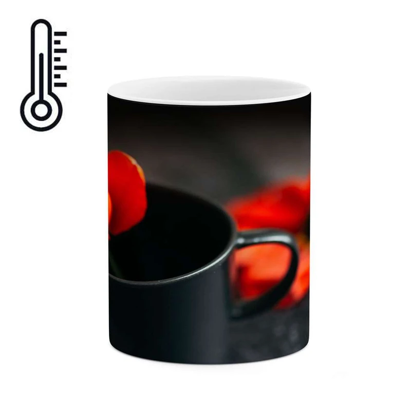 ماگ حرارتی کاکتی مدل گل کد mgh16401