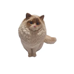 فیگور مدل گربه رگدال