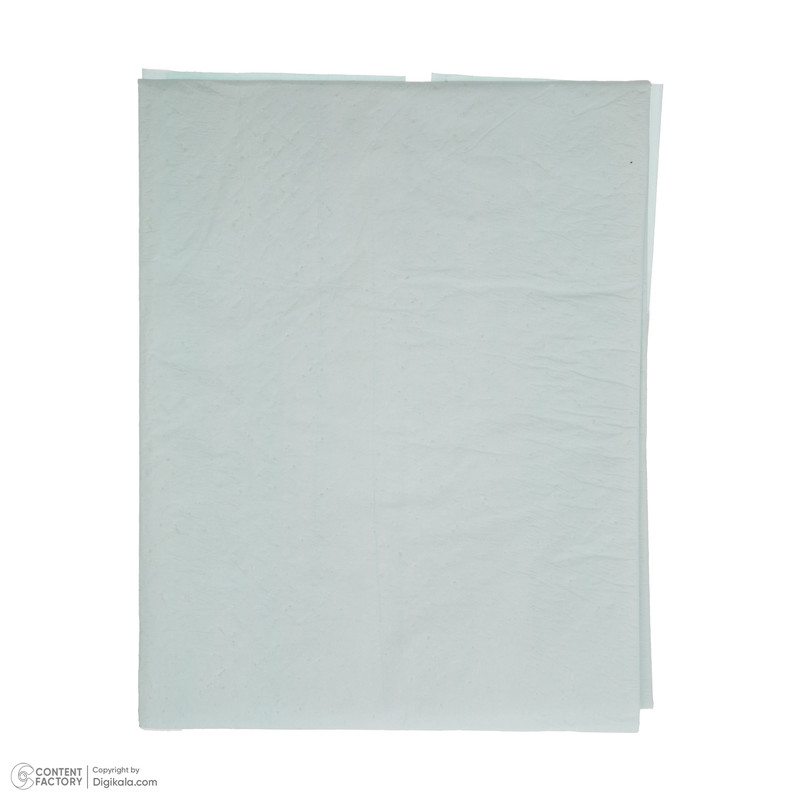 پد زیر انداز بهداشتی لیاپد مدل رادین بسته 10 عددی