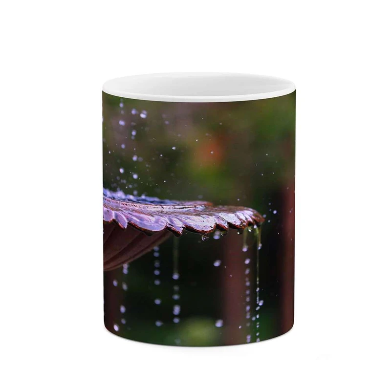 ماگ کاکتی مدل فانتزی کد mgh16861