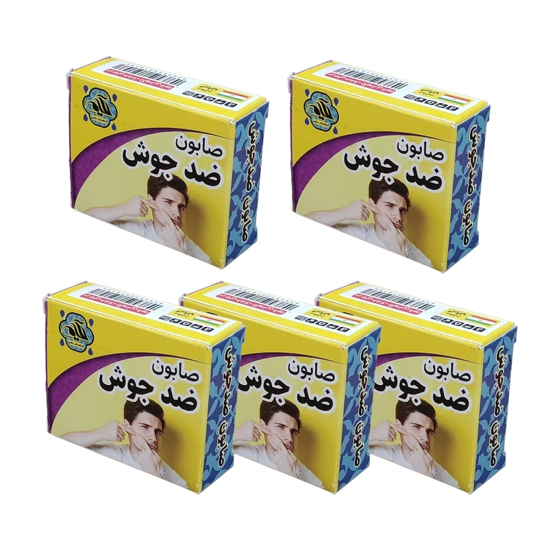 صابون شستشو گیاهستان حکیم مدل ضد جوش  وزن 70 گرم بسته 5 عددی