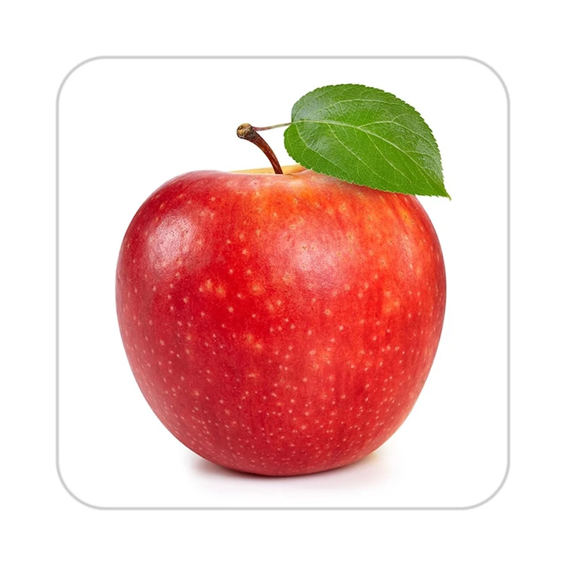 زیر لیوانی کاکتی طرح میوه مدل mp21899