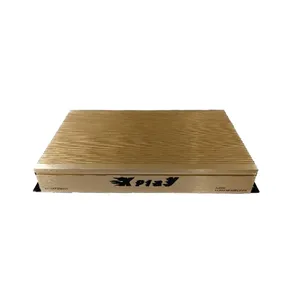 آمپلی فایر خودرو ایکس پلی مدل XP-4APBM601