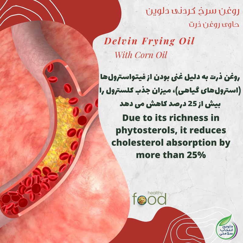 روغن سرخ کردنی بر پایه روغن ذرت دلوین - 1800 میلی لیتر