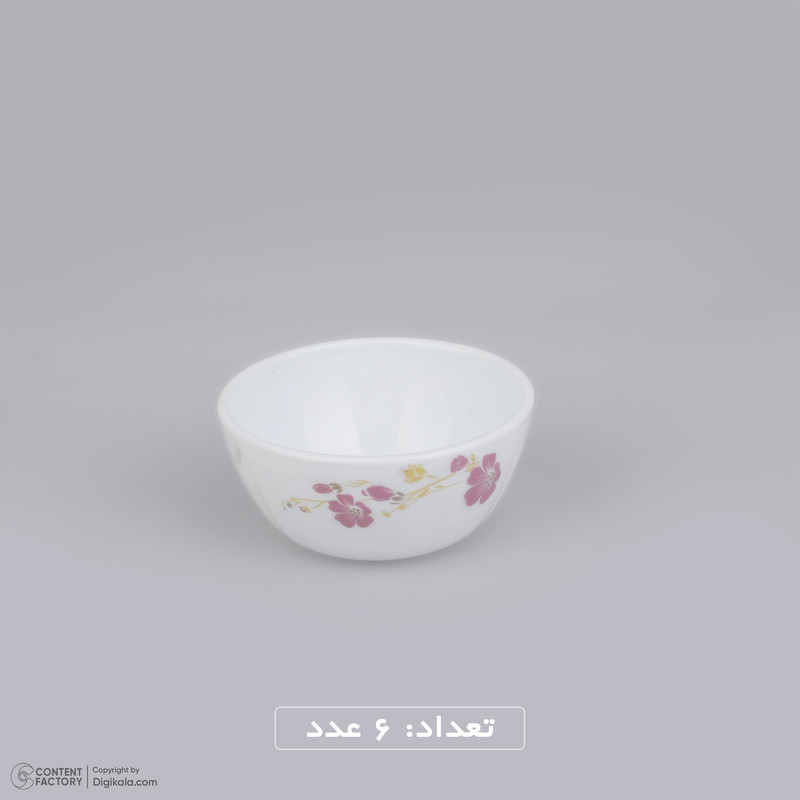 سرويس 25 پارچه اپال مدل نشميل