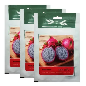 بذر میوه دراگون فروت سفید وانیا سید کد V43 مجموعه 3 عددی 