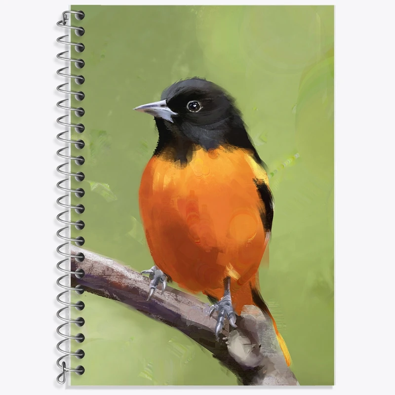 دفتر زبان 50 برگ خندالو مدل سه خط طرح پرنده کد F982