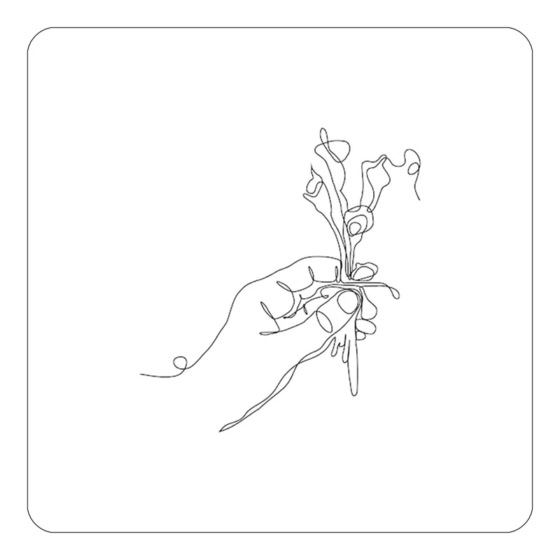 مگنت کاکتی طرح عاشقانه مدل mp37508