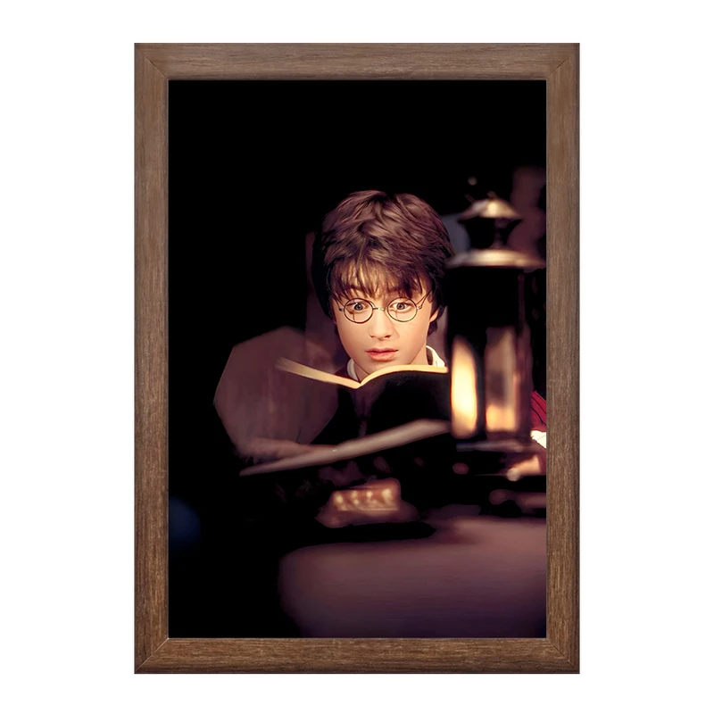 تابلو خندالو طرح هری پاتر (Harry Potter) کد F6001