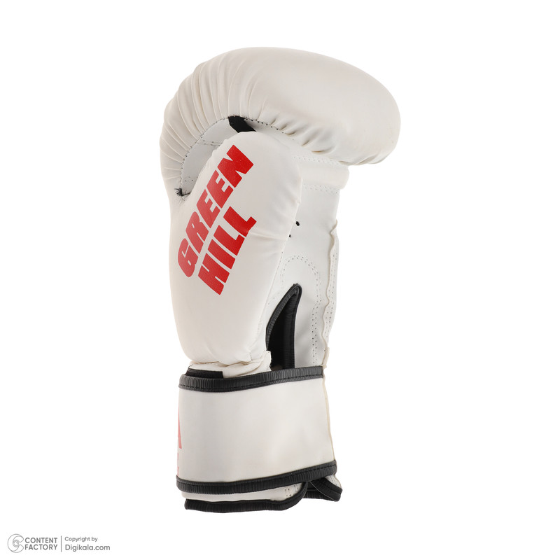دستکش بوکس گرین هیل مدل aiba pro 2000 به همراه کلاه و میت رزمی بسته 4 عددی