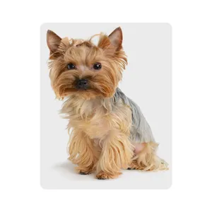 ماوس پد اطلس آبی طرح سگ  مدل T2218