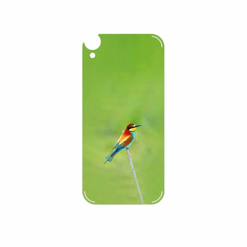 برچسب پوششی ماهوت مدل European bee-eater مناسب برای گوشی موبایل اچ تی سی Desire 820