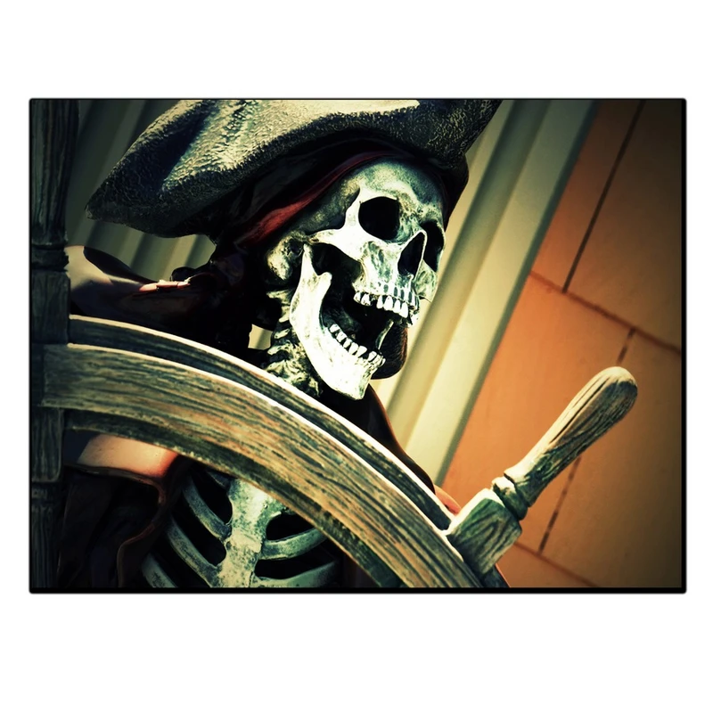 تابلو شاسی بکلیت طرح اسکلت کاپیتان مدل SH-11863