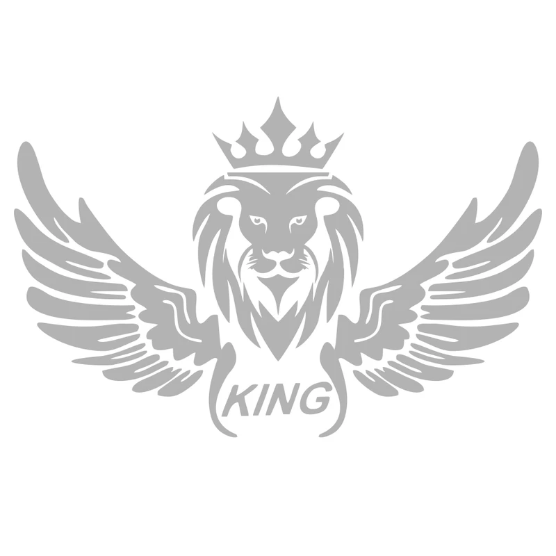 برچسب بدنه خودرو ماتریسیو طرح بال کد M26