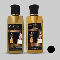 شامپو رنگ مو لانا مدل B_Keratin حجم 120 میلی لیتر رنگ مشکی مجموعه 2 عددی