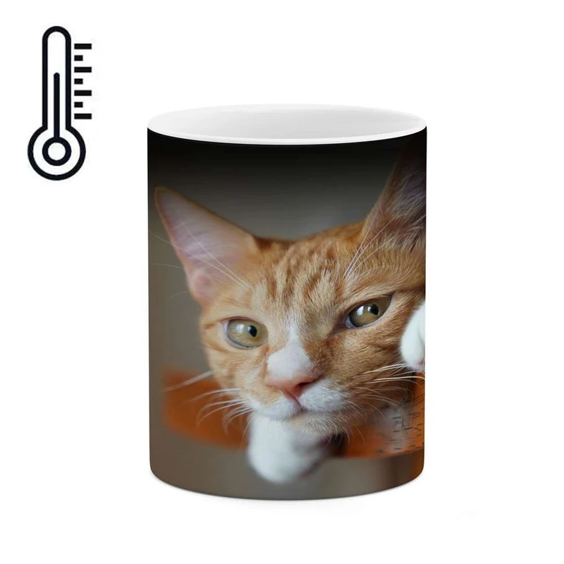 ماگ حرارتی کاکتی مدل گربه کد mgh16922