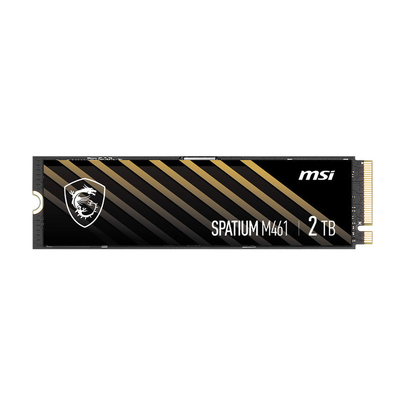 اس اس دی اینترنال PCIe Gen4 x4 ام اس آی مدل M461 ظرفیت 2 ترابایت